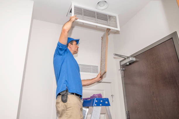 Best Air Vent Cleaning Services  in De Soto, IL